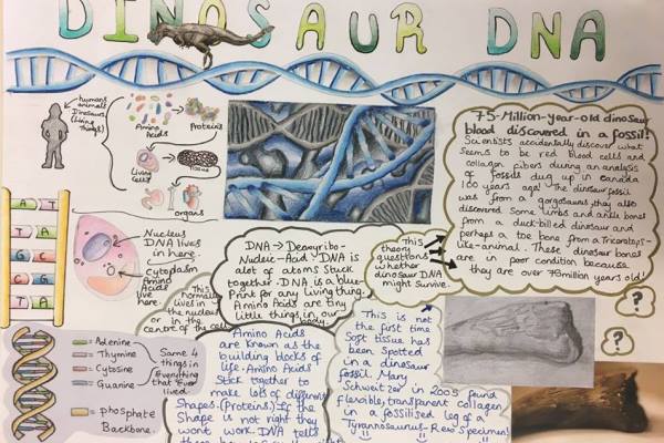 Science Week 2024 Activities